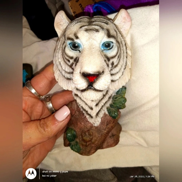 Blue Eyed Siberian Bengal White Tiger Bust Desktop Plaque Figurine - Picture 1 of 6